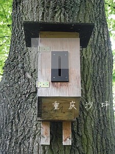 重庆沙坪坝离婚官司律师费用 重庆沙坪坝离婚官司律师费用
