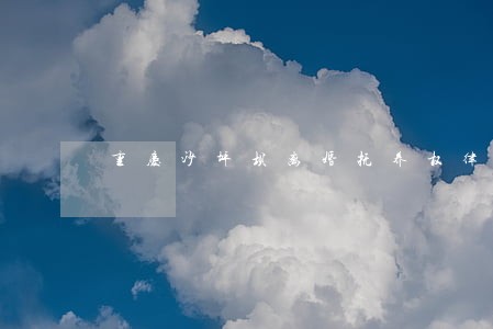 重庆沙坪坝离婚抚养权律师 重庆沙坪坝离婚抚养权律师
