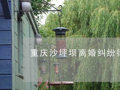 重庆沙坪坝离婚纠纷律师网 重庆沙坪坝离婚纠纷律师网