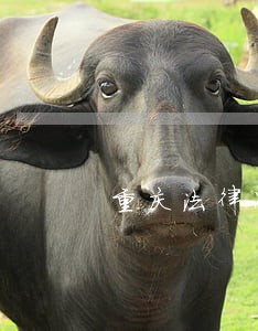 重庆法律咨询免费在线 重庆法律咨询免费在线