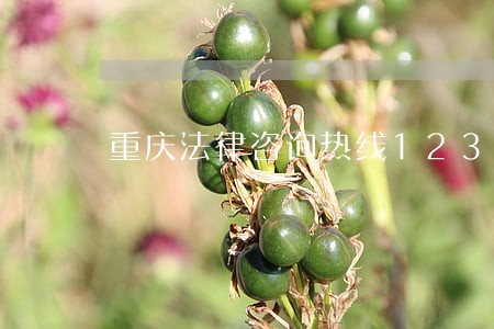 重庆法律咨询热线12348 重庆法律咨询热线12348
