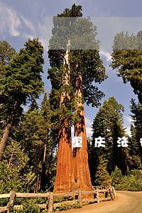 重庆法律顾问代理 重庆法律顾问代理