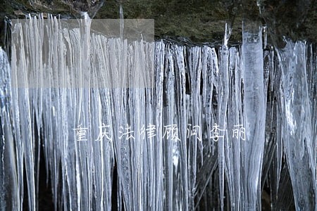 重庆法律顾问李丽 重庆法律顾问李丽
