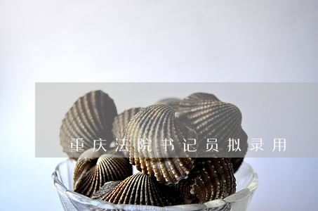 重庆法院书记员拟录用 重庆法院书记员拟录用