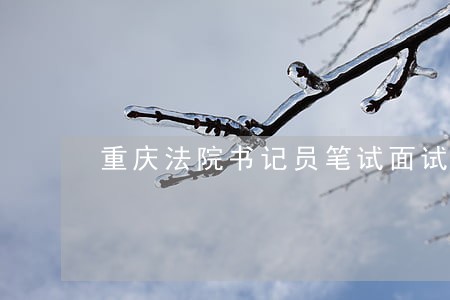 重庆法院书记员笔试面试成绩