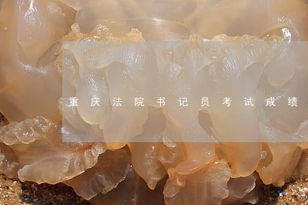重庆法院书记员考试成绩查询 重庆法院书记员考试成绩查询