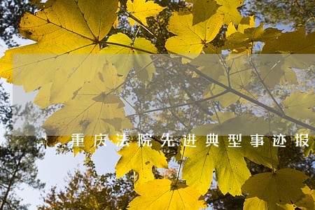 重庆法院先进典型事迹报告会 重庆法院先进典型事迹报告会