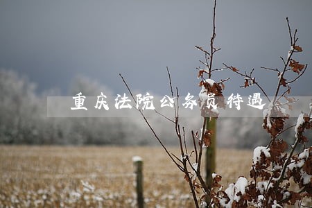 重庆法院公务员待遇 重庆法院公务员待遇