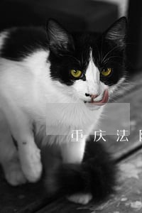 重庆法院唐嫣 重庆法院唐嫣