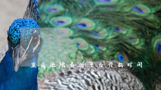 重庆法院易诉平台开放时间 重庆法院易诉平台开放时间