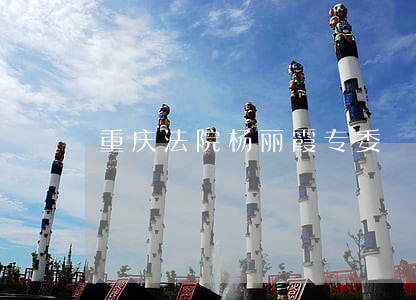 重庆法院杨丽霞专委 重庆法院杨丽霞专委