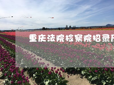 重庆法院检察院招录历年真题 重庆法院检察院招录历年真题