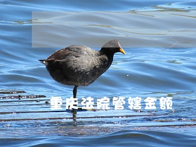 重庆法院管辖金额 重庆法院管辖金额