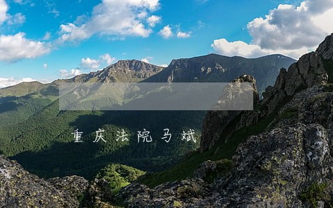 重庆法院马斌