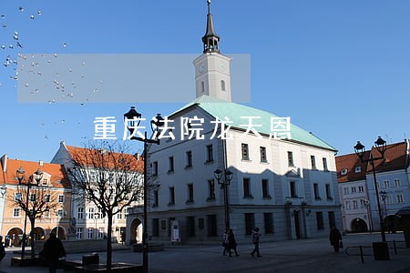 重庆法院龙天恩 重庆法院龙天恩
