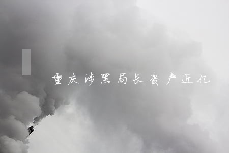 重庆涉黑局长资产近亿 重庆涉黑局长资产近亿
