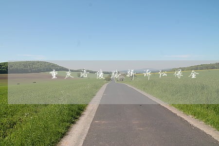 重庆涪陵路桥诉讼保全 重庆涪陵路桥诉讼保全