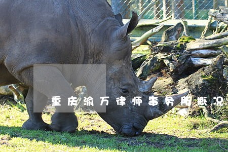 重庆渝万律师事务所概况 重庆渝万律师事务所概况