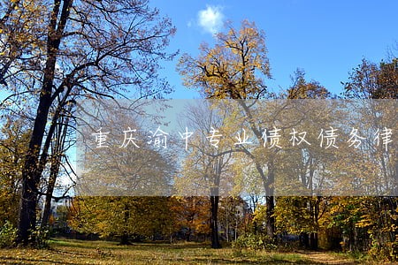 重庆渝中专业债权债务律师 重庆渝中专业债权债务律师
