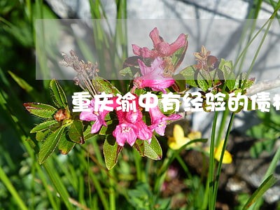 重庆渝中有经验的债权债务律师 重庆渝中有经验的债权债务律师