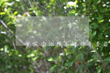 重庆渝北债务律师免费咨询热线