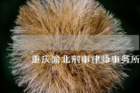 重庆渝北刑事律师事务所 重庆渝北刑事律师事务所