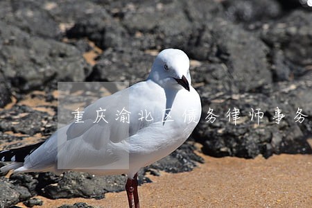 重庆渝北区债务律师事务所 重庆渝北区债务律师事务所