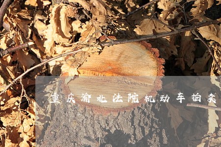 重庆渝北法院机动车拍卖 重庆渝北法院机动车拍卖