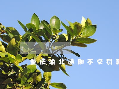 重庆渝北逾期不交罚款 重庆渝北逾期不交罚款
