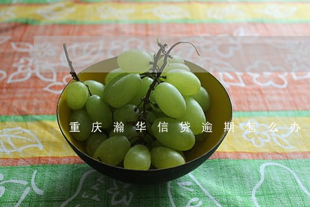 重庆瀚华信贷逾期怎么办 重庆瀚华信贷逾期怎么办