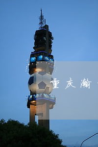 重庆瀚华小贷逾期不良 重庆瀚华小贷逾期不良