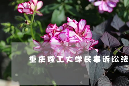 重庆理工大学民事诉讼法