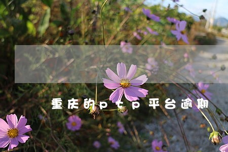 重庆的ptp平台逾期