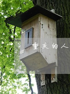 重庆的人民法拍这个公司靠谱吗 重庆的人民法拍这个公司靠谱吗