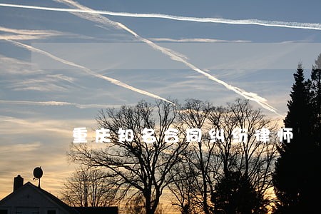 重庆知名合同纠纷律师 重庆知名合同纠纷律师