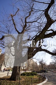 重庆知名离婚律师在线咨询 重庆知名离婚律师在线咨询