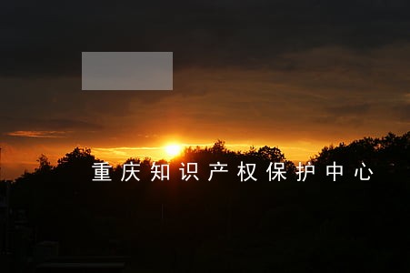 重庆知识产权保护中心 重庆知识产权保护中心