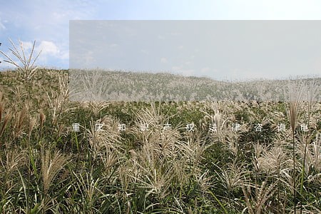 重庆知识产权法律咨询电话 重庆知识产权法律咨询电话