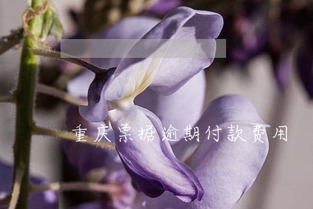 重庆票据逾期付款费用 重庆票据逾期付款费用