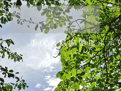 重庆票据逾期提示承兑咨询 重庆票据逾期提示承兑咨询
