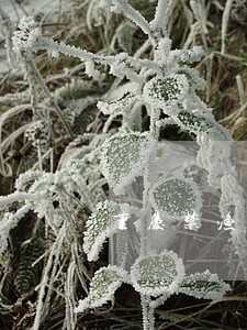 重庆禁渔期钓鱼违法