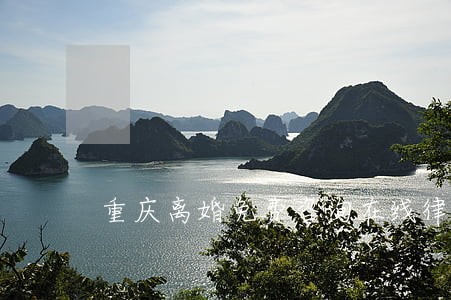 重庆离婚免费咨询在线律师 重庆离婚免费咨询在线律师