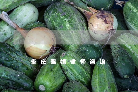 重庆离婚律师咨询 重庆离婚律师咨询