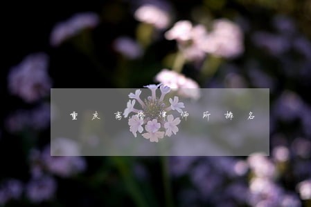 重庆离婚律师所排名 重庆离婚律师所排名