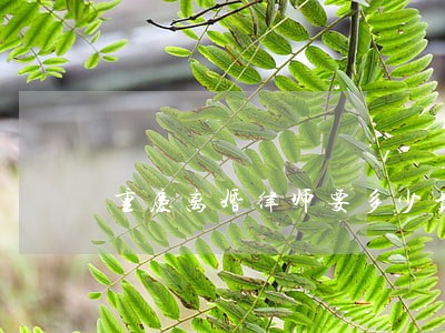 重庆离婚律师要多少费用 重庆离婚律师要多少费用