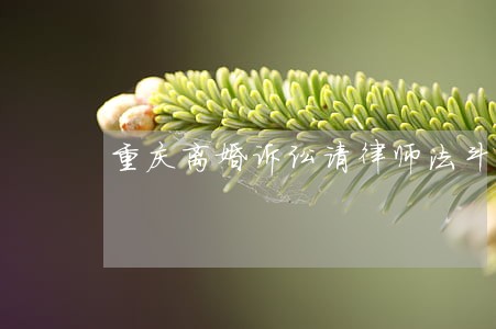 重庆离婚诉讼请律师法斗士 重庆离婚诉讼请律师法斗士
