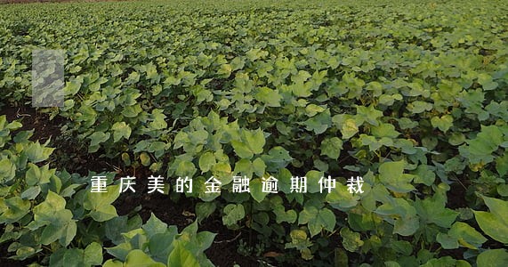 重庆美的金融逾期仲裁 重庆美的金融逾期仲裁