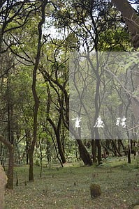 重庆聘请劳动仲裁律师律师多少钱 重庆聘请劳动仲裁律师律师多少钱
