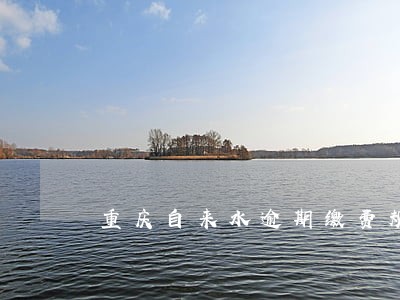 重庆自来水逾期缴费规定 重庆自来水逾期缴费规定
