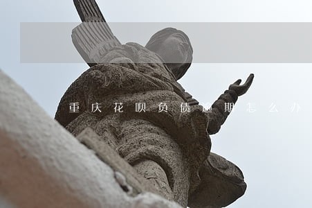 重庆花呗负债逾期怎么办 重庆花呗负债逾期怎么办